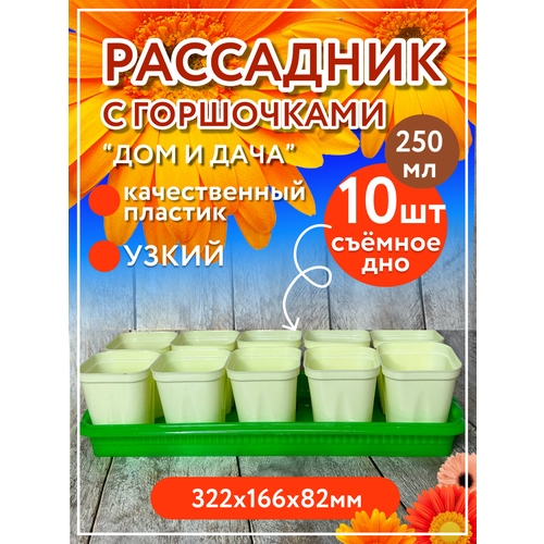 Рассадник на 10 стаканчиков (горшочков) с поддоном, зеленый