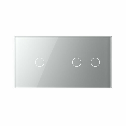 Панель 2 поста (1G+2G), 157*86mm, стекло, цвет серый