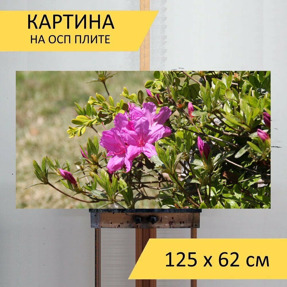 Картина на ОСП 125х62 см. 