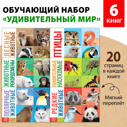 Обучающие книги набор «Удивительный мир» 6 шт. по 20 стр. медведь анна алексеевна институты в качестве факторов инвестиционного процесса в экономике рф