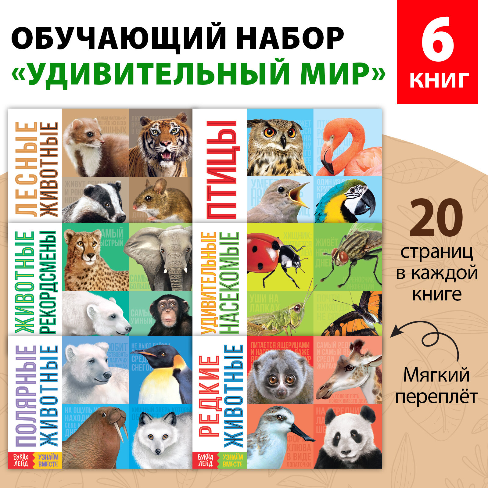 Обучающие книги набор «Удивительный мир» 6 шт. по 20 стр.