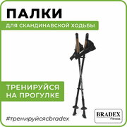 Палки для скандинавской ходьбы Нордик Стайл III BRADEX, телескопические, трекинговые складные, 3 секции, длина 69-135 см, 2 шт