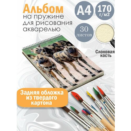 Альбом для рисования фауна саванны Гиены