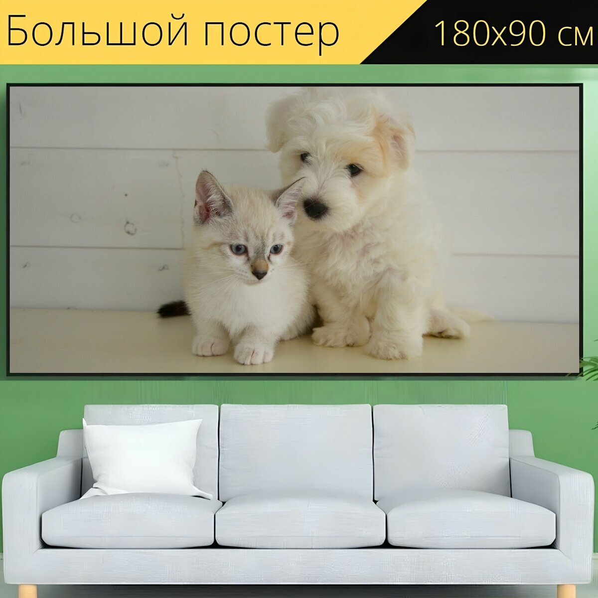 Большой постер "Собака кошка, котенок, домашнее животное" 180 x 90 см. для интерьера