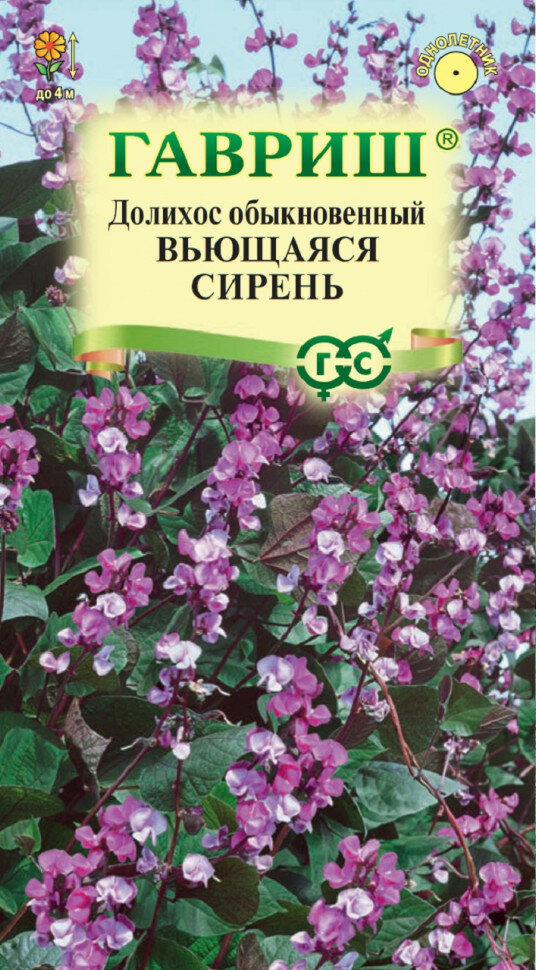 Семена Долихос обыкновенный (Гиацинтовые бобы) Вьющаяся сирень 4шт Гавриш Цветочная коллекция 10 пакетиков