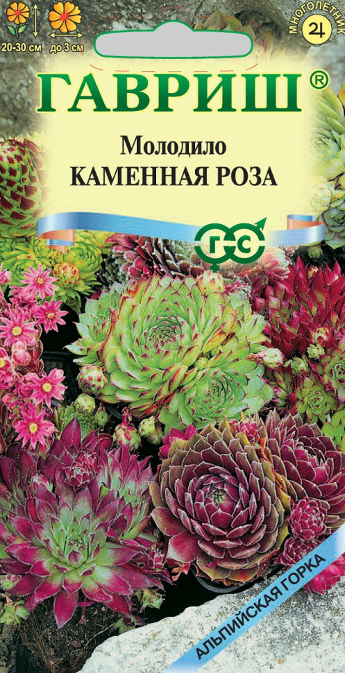 Семена Молодило Каменная Роза 001г Гавриш Альпийская горка 5 пакетиков