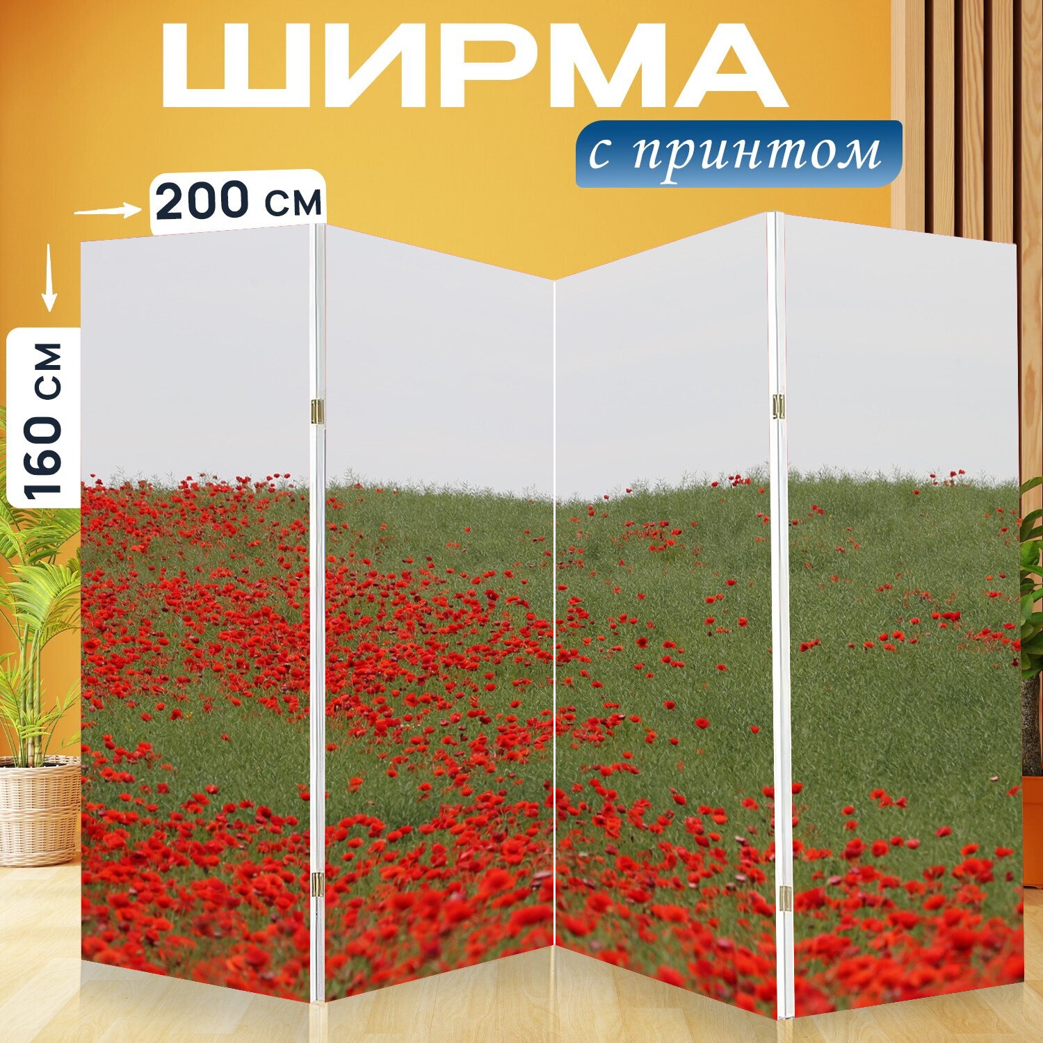 Ширма перегородка с принтом "Красные маки, рапс, области сельского хозяйства" на холсте - 200x160 см. для зонирования, раскладная