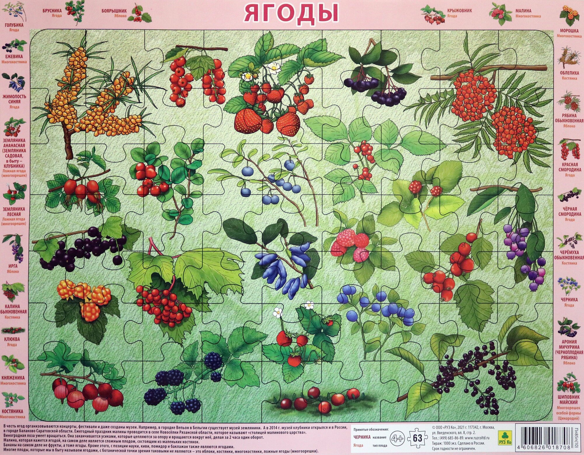 Пазл-63 "Ягоды" РУЗ Ко - фото №6