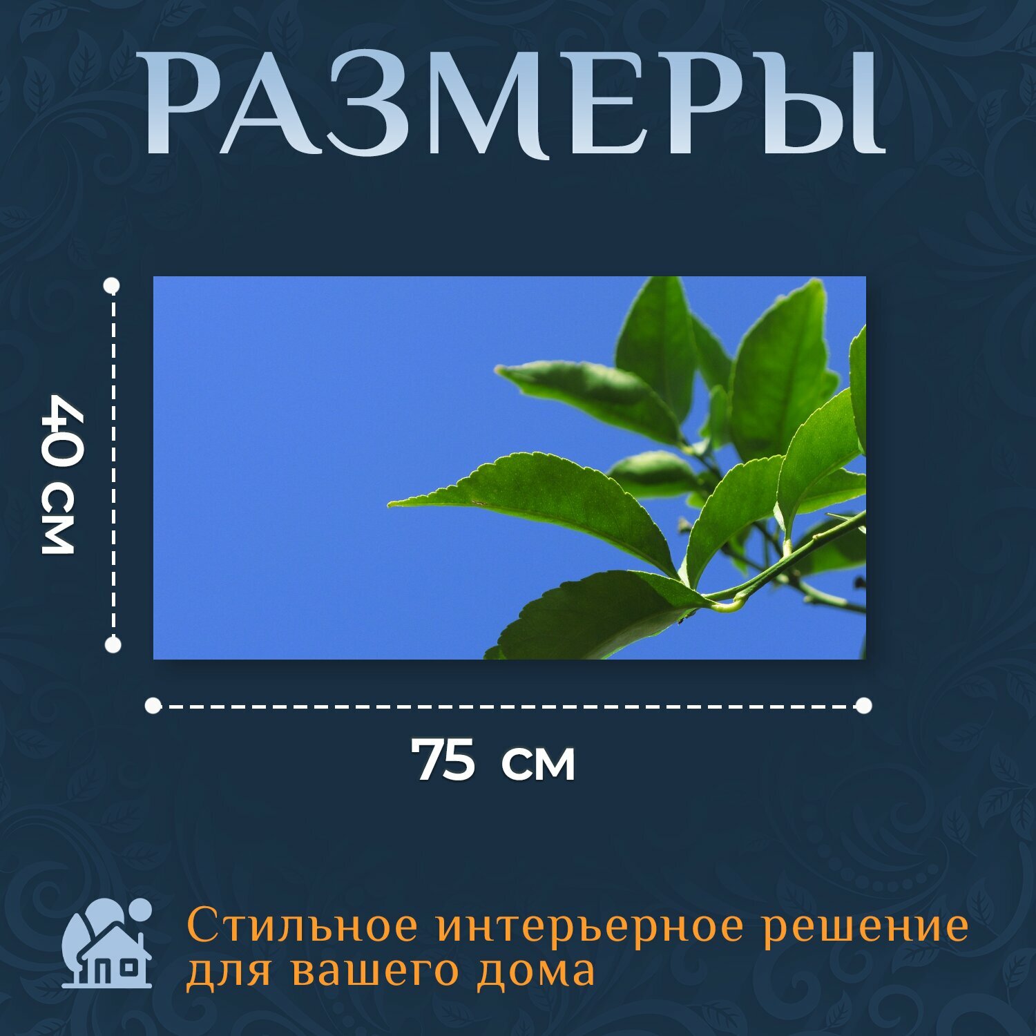Картина на холсте "Природа, лимонное дерево, листья" на подрамнике 75х40 см. для интерьера