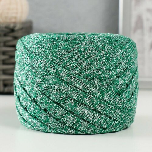 Трикотажная пряжа Риббон с люрексом 85м1705 гр Нефрит люрекс Серебро 899₽