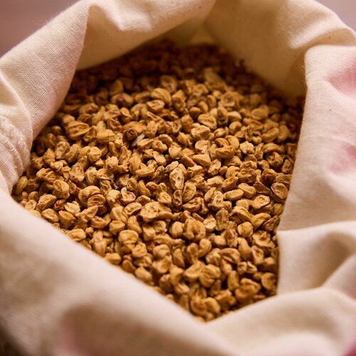 Семена Боярышника перистонадрезанного, 5 грамм (примерно 175 шт)