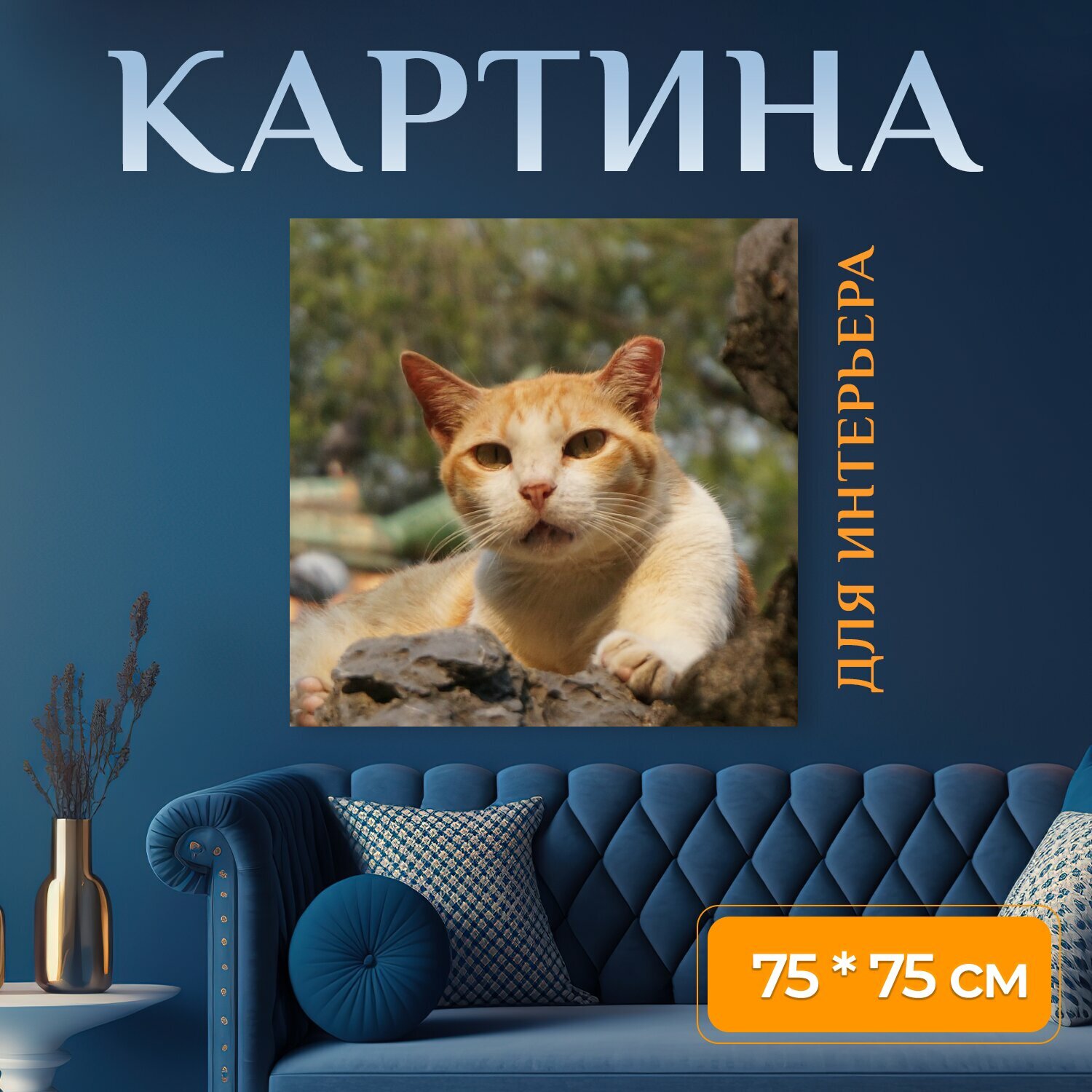 Картина на холсте "Кошки, животные, чинг конг кун" на подрамнике 75х75 см. для интерьера