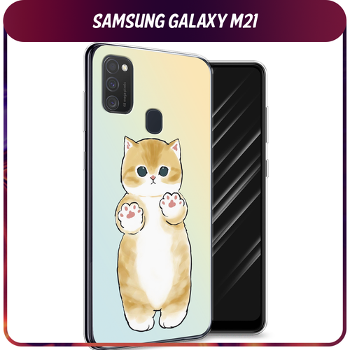 Силиконовый чехол на Samsung Galaxy M21/M30s / Самсунг Галакси М21/М30s Лапки котика