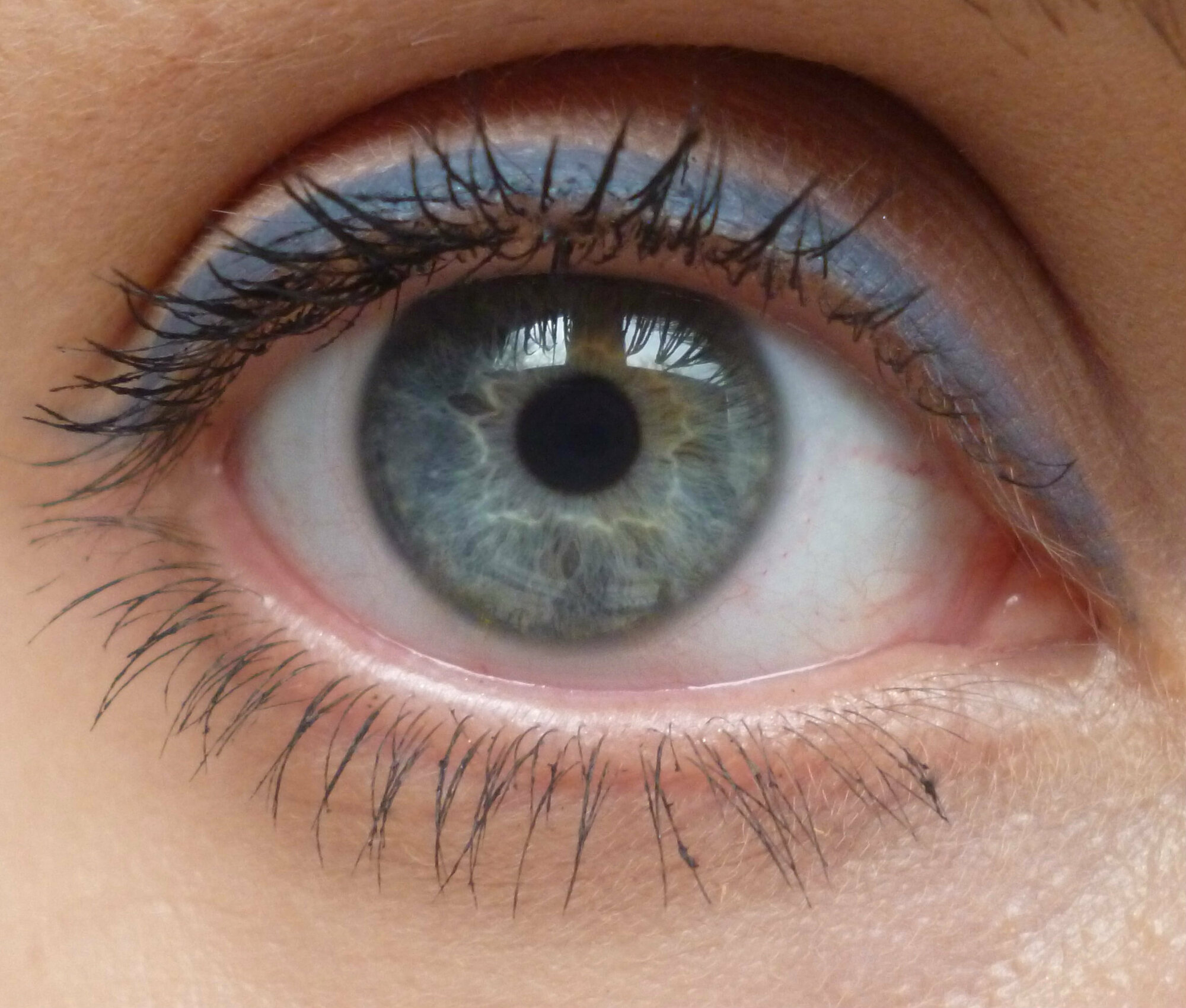 El Corazon Карандаш для глаз №121 Grey — фото 1