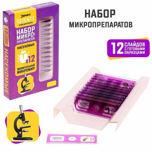 Аксессуары ЭВРИКИ Насекомые, 7670833 фиолетовый