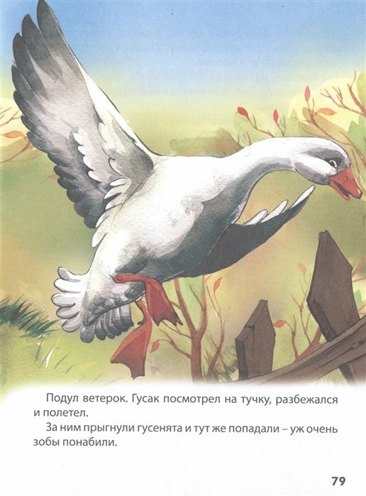 Сказки русских писателей (Мамин-Сибиряк Дмитрий Наркисович; Шварц Евгений Львович; Чарская Лидия Алексеевна; Ушинский Константин Дмитриевич; Чехов Антон Павлович) - фото №12