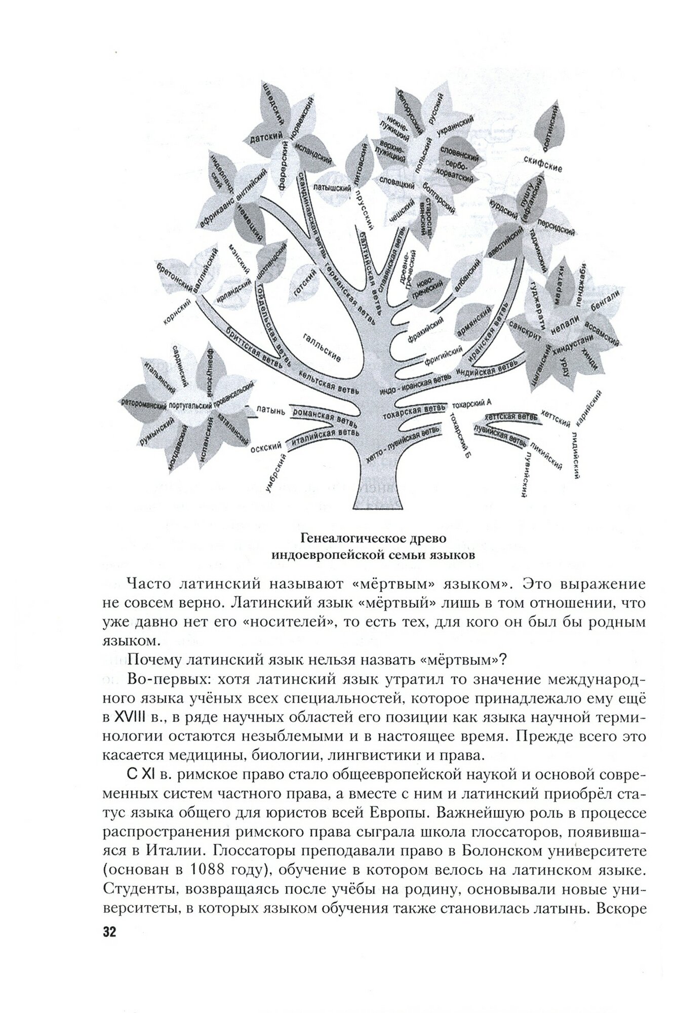 Латинский язык и античное наследие в международной уголовной юстиции. Часть 1 - фото №3