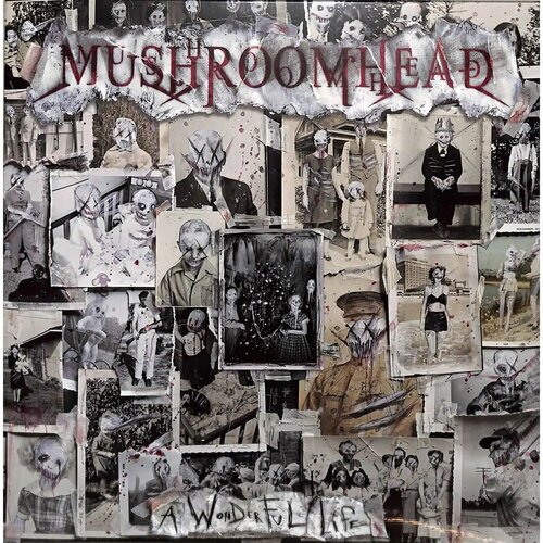 MUSHROOMHEAD - A WONDERFUL LIFE (2LP) виниловая пластинка