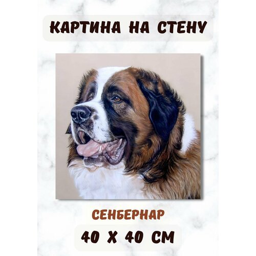 фото Картина на холсте в рисованном стиле печать 40х40 "сенбернар" bestkartina