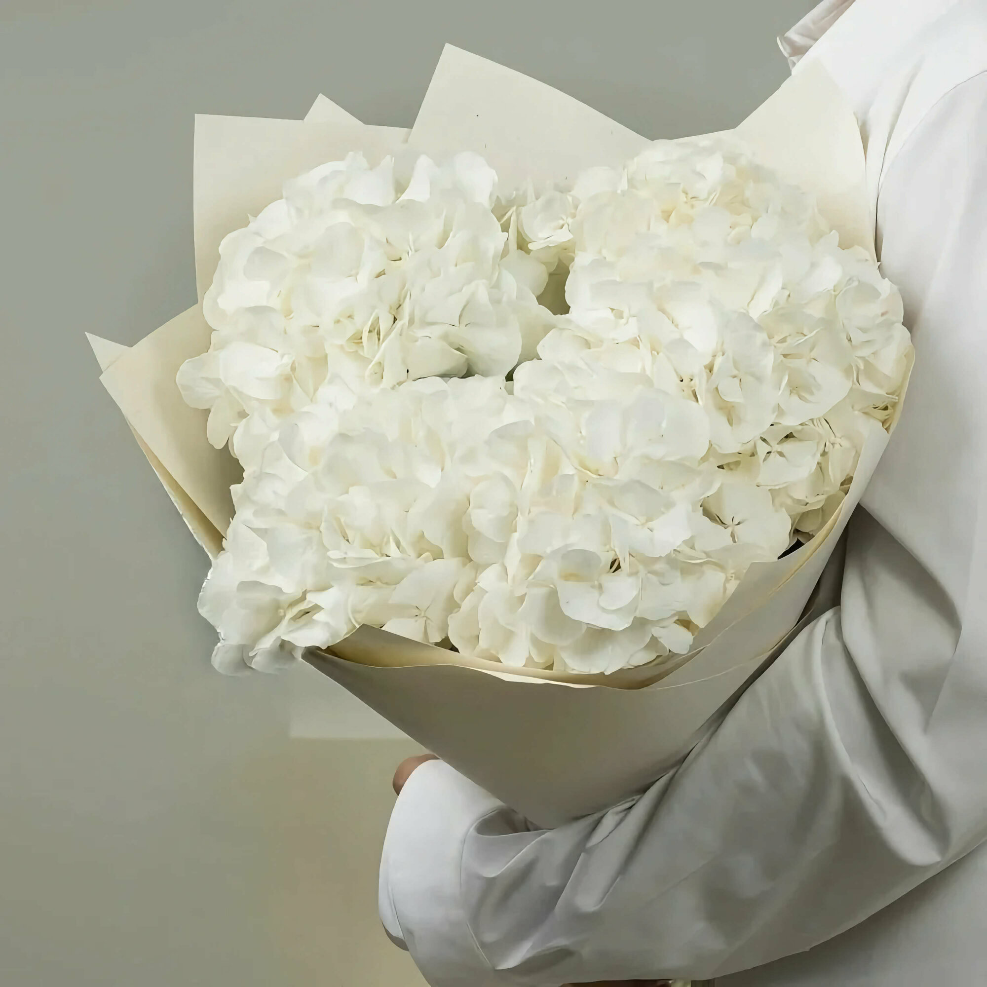 Букет из крупных белых гортензий 3 шт 60см высота в эко-упаковке