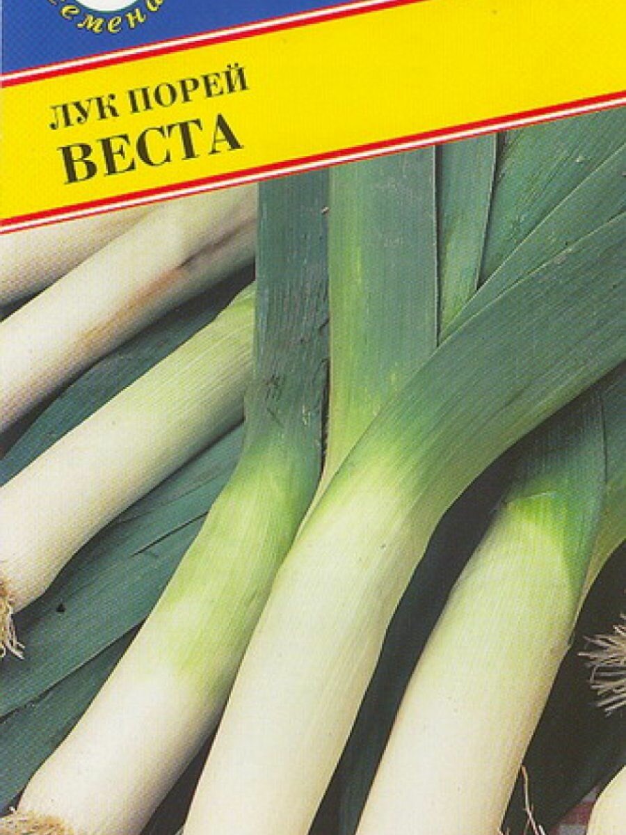 Семена Лук порей 