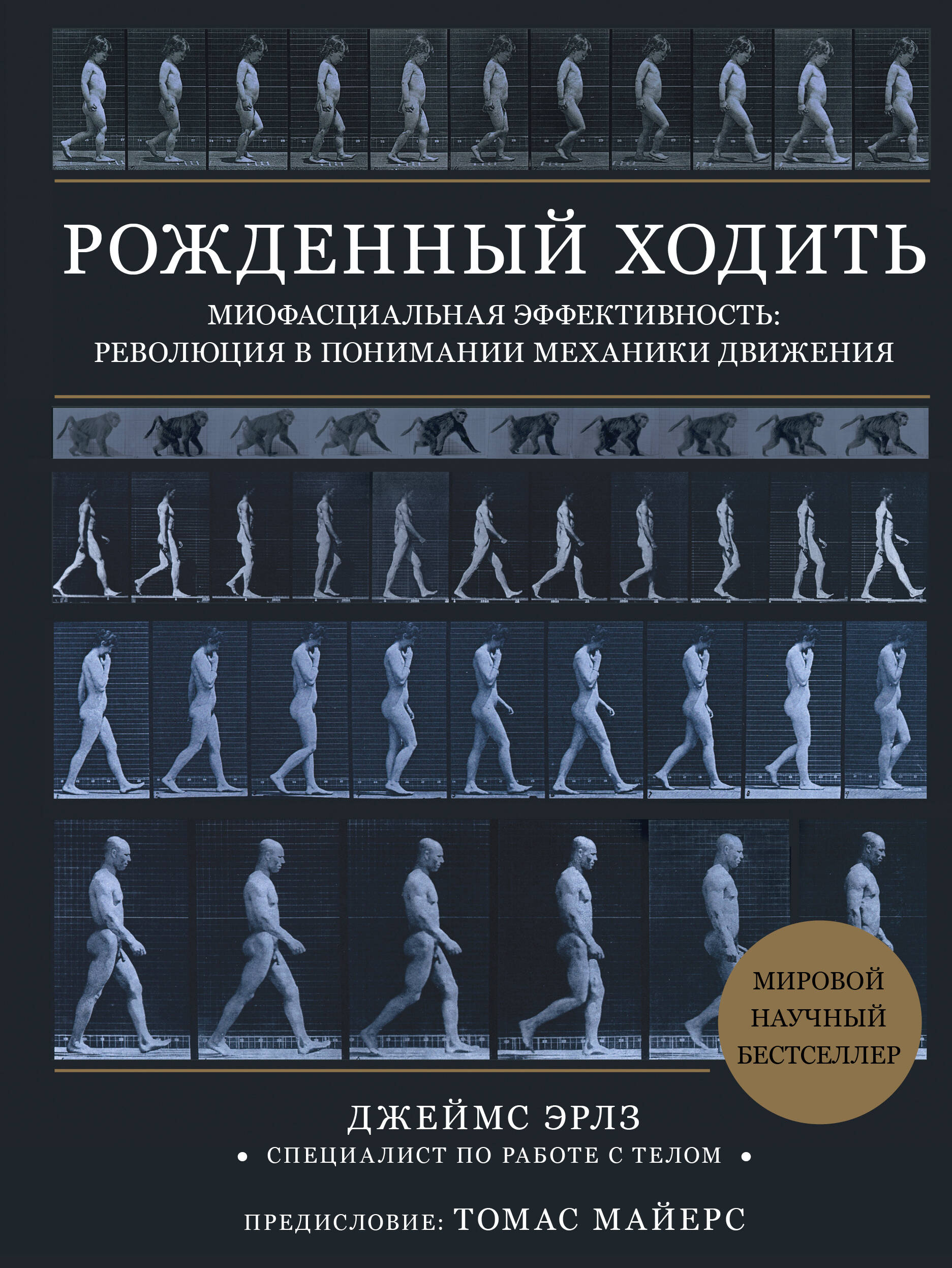 Рождённый ходить. Миофасциальная эффективность. Революция в понимании механики движения - фото №1