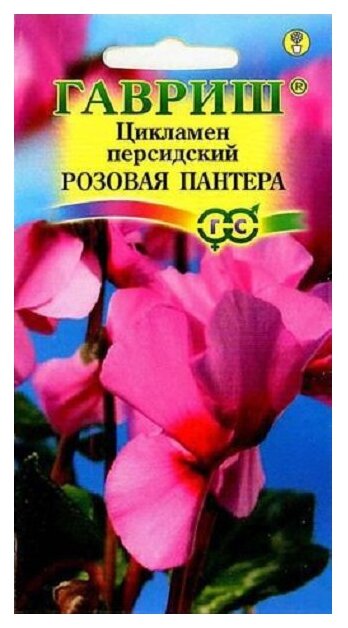 Семена Гавриш Цикламен персидский Розовая пантера 3 шт.