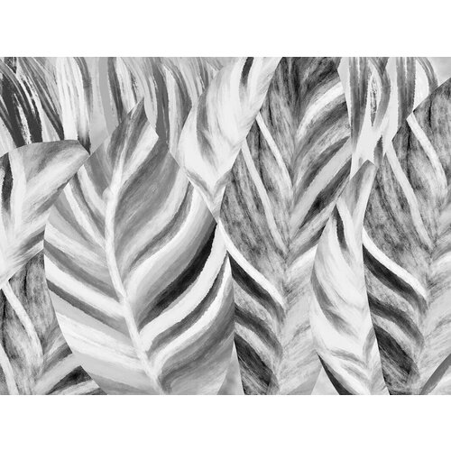 Моющиеся виниловые фотообои Фон банановые листья черно-белые, 200х150 см