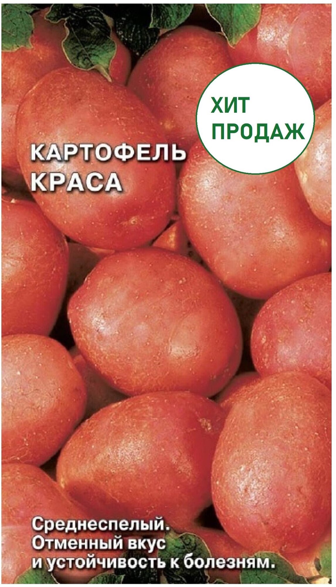 Картофель Краса 0,02г, семена, среднеспелый сорт столового назначения, кожура красная, мякоть светло-желтая, крупноплодный, высокопродуктивный