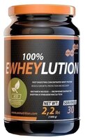 Протеин Anna Nova Nutrition 100% Ewheylution (1000 г) клюква