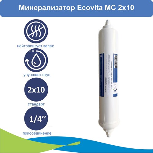 Минерализатор для систем обратного осмоса Ecovita MC 2x10