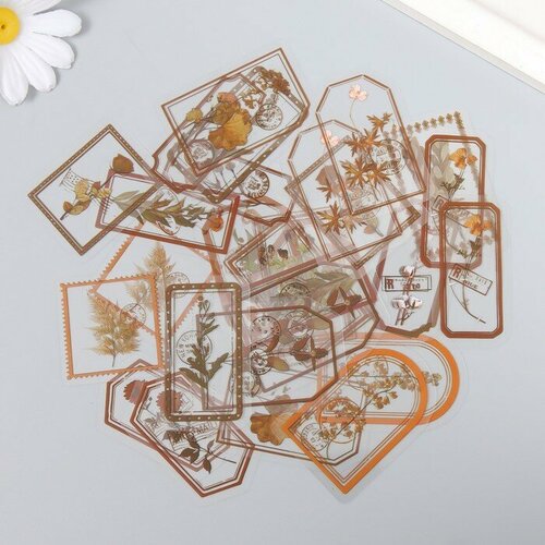 Наклейки для творчества Теги - Дикие цветы набор 30 шт 02х8х11 см 352₽