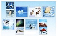 Набор карточек Мозаика-Синтез ФГОС Мир в картинках. Арктика и Антарктика 29.5x20.5 см 8 шт.