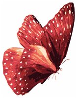 Menglei Картина по номерам "Бабочка Красный монарх" 20x30 см (MC1006)