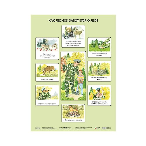 Плакат Мозаика-Синтез Как лесник заботится о лесе, 5 шт.