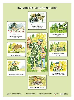 Плакат Мозаика-Синтез Как лесник заботится о лесе