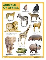 Плакат Мозаика-Синтез ANIMALS OF AFRICA (Животные Африки)