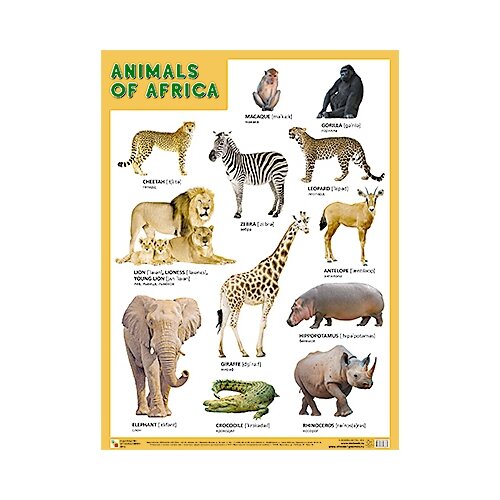 плакат мозаика синтез животные средней полосы Плакат Мозаика-Синтез ANIMALS OF AFRICA (Животные Африки)