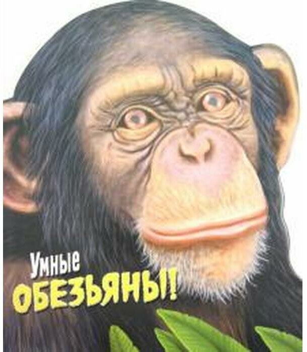 Книга Детская энциклопедия Стрекоза "Умные обезьяны!" - фото №2