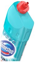 Domestos гель универсальный Двойная сила Свежесть атлантики 1 л