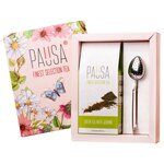 Чай зеленый Pausa Jasmine подарочный набор - изображение