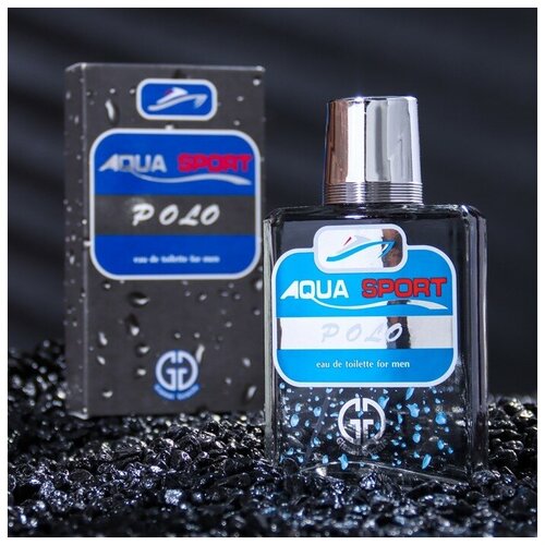 Туалетная вода мужская Positive parfum, AQUA SPORT POLO, 100 мл positive parfum туалетная вода мужская aqua sport polo 100 мл