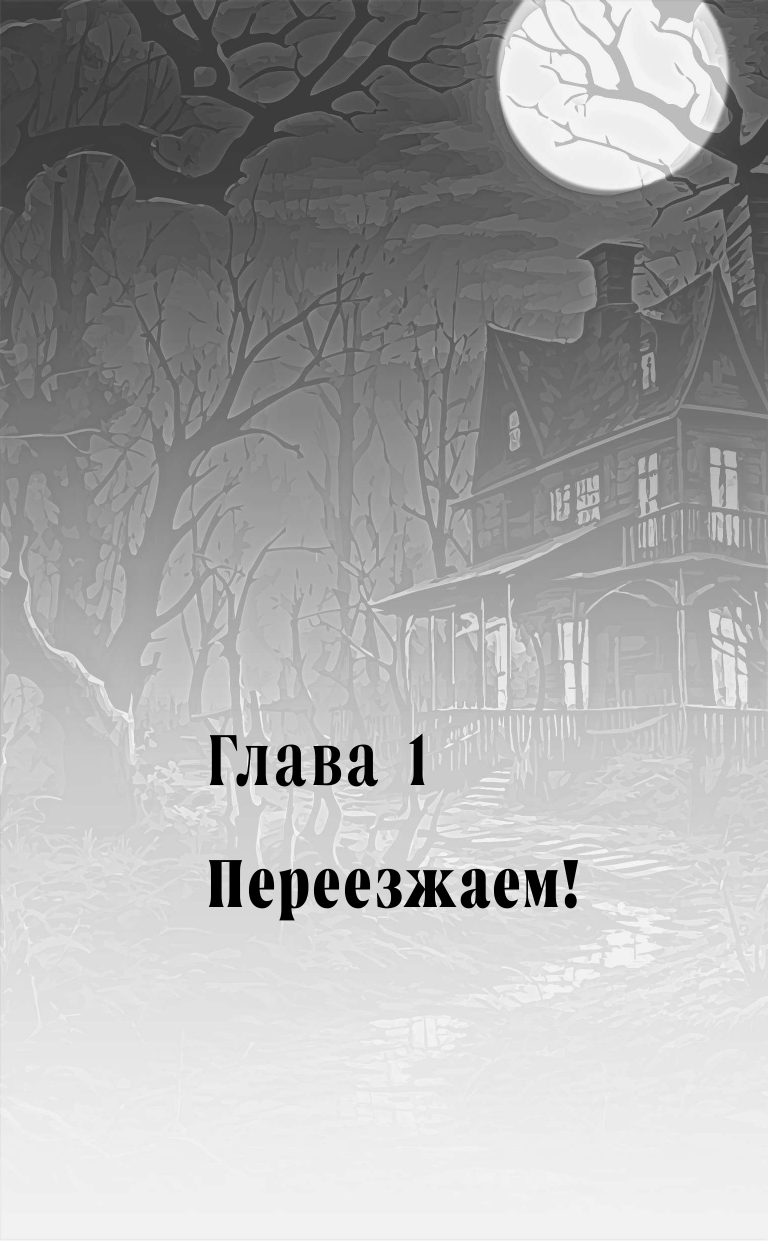 Не спорьте с призраком (Муравьева Евгения Александровна) - фото №11