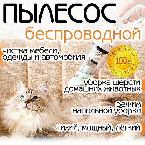 Беспроводной аккумуляторный пылесос для дома и авто 229000₽