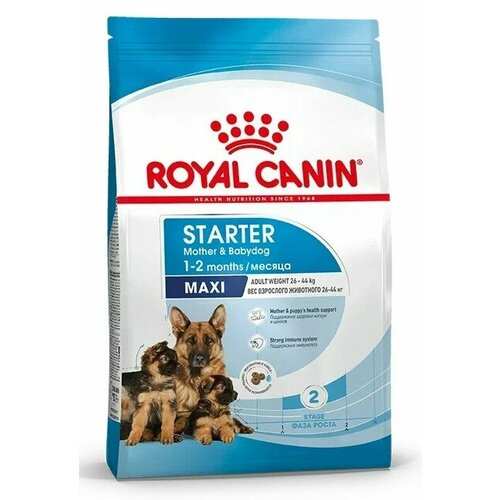 Royal Canin Maxi Starter для щенков до 2 месяцев, беременных и кормящих сук крупных пород Курица, 4 кг.