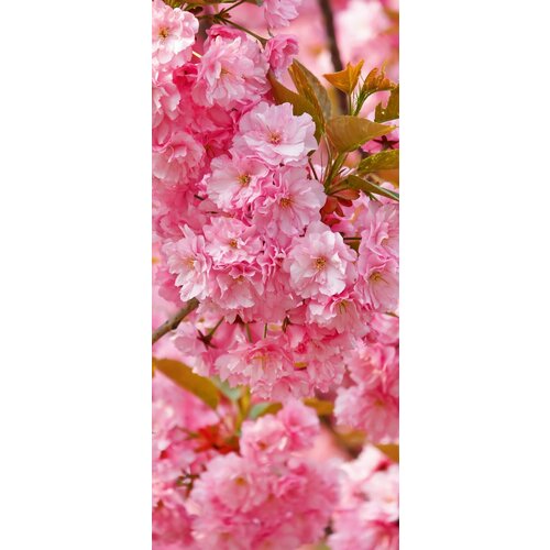 Самоклеящиеся фотообои 