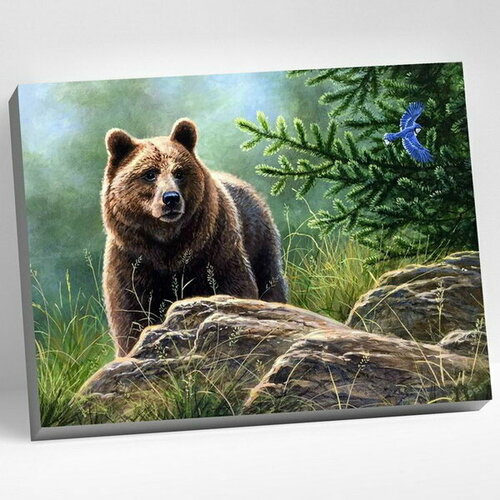 Картина по номерам 40 x 50 см Сибирский бурый медведь 20 цветов картина по номерам 40 x 50 см сибирский бурый медведь 20 цветов