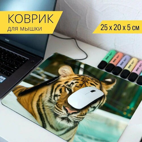 Коврик для мыши с принтом Тигр, дикий, для 25x20см.