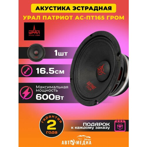 Колонки автомобильные Патриот АС-ПТ165 Гром 1 динамик 4768₽