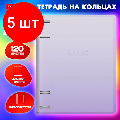 тетрадь на кольцах с разделителями asmar Комплект 5 шт, Тетрадь на кольцах большая 305х230 мм А4, 120 л, пластик, с разделителями, BRAUBERG, Фиолетовый, 404623